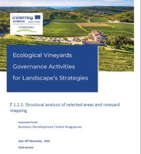 DT1.2.1 Structural Analysis and Vineyard Mapping 